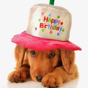 Meet your Posher, Mary kate